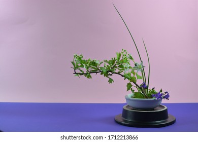 Ikebana Japanese Flower Arranging In Front Of A Pink Background