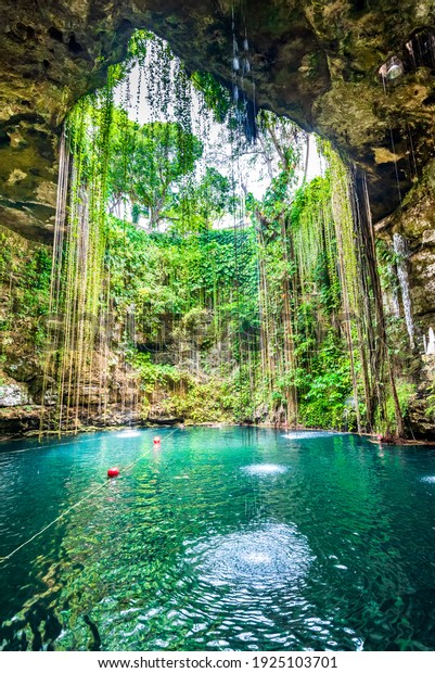 Ikkil Cenote Mexico Lovely Cenote Yucatan Stock Photo 1925103701 ...