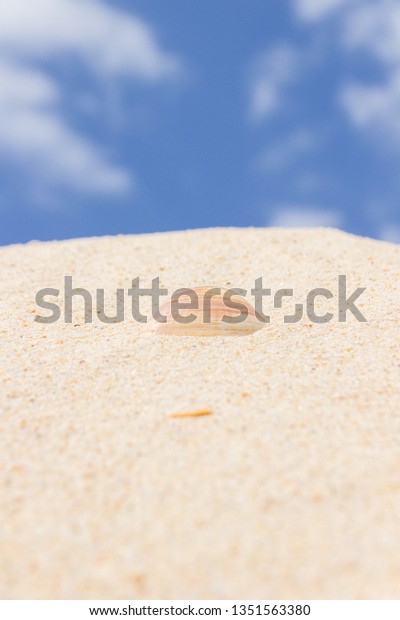 Ilha Deserta Faro Algarve Portugal Stock Photo Edit Now