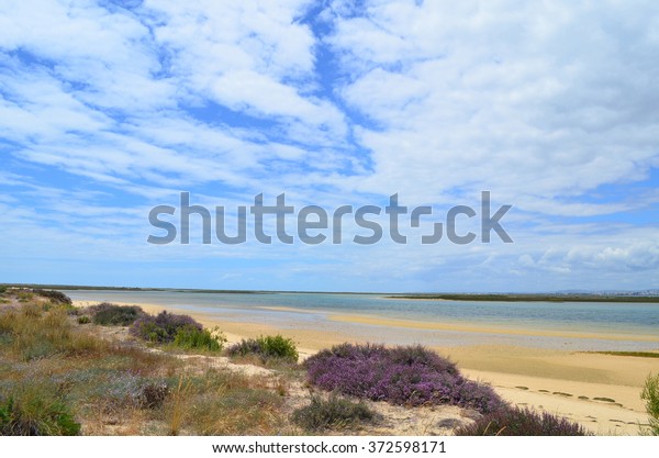 Ilha Deserta Near Faro Portugal Stock Photo Edit Now