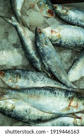 The Ilish Or Tenualosa Ilisha, Also Known As The Ilisha, Hilsa, Hilsa Herring Or Hilsa Shad, Is A Species Of Fish Related To The Herring