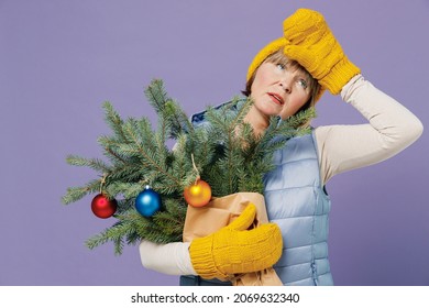 Ill mature elderly senior lady woman 55 years old wears blue waistcoat yellow hat mittens have headache hold bouquet of spruce branches isolated on plain pastel light violet background studio portrait
