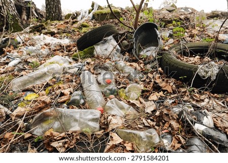 Illegal dumping of plastic waste in forest area. Environmental pollution problem with discarded bottles and tires. Ecology conservation and cleanup background.