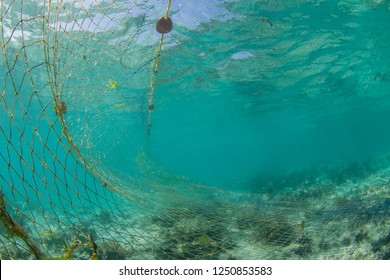 Illegal Fishing Nets On An Overfished Reef