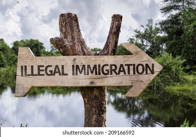 Illegal Immigration Wooden Sign With A Forest Background