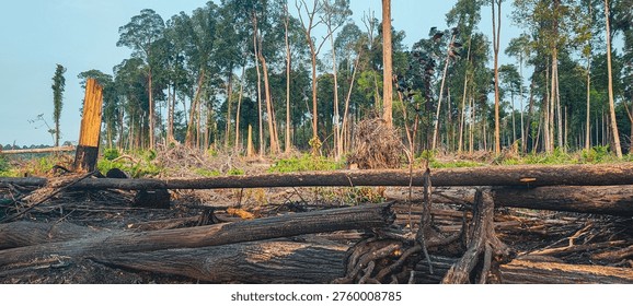 Illegal logging and peatland burning devastate forests in Southeast Asia, captured in a low-angle wide shot revealing charred earth, rising smoke, and the urgent climate impact of CO2 emissions and oxygen loss.