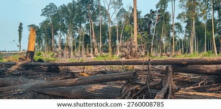 Illegal logging and peatland burning devastate forests in Southeast Asia, captured in a low-angle wide shot revealing charred earth, rising smoke, and the urgent climate impact of CO2 emissions and oxygen loss.