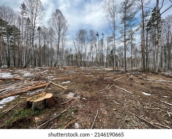 Illegal Logging Revealed During Patrolling Area Stock Photo 2146190665 ...