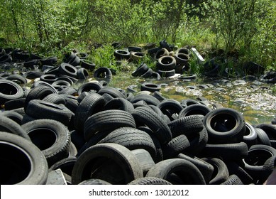 Illegal Tire Dump