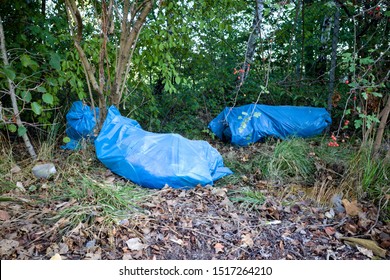 Illegally Disposed Blue Bin Bags In Landscape