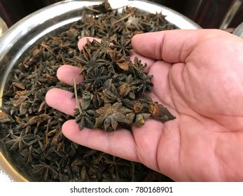Illicium Verum Is A Medium-sized Evergreen Tree Native To Northeast Vietnam And Southwest China. A Spice Commonly Called Star Anise, Staranise, Star Anise Seed, Chinese Star Anise, Or Badiam.