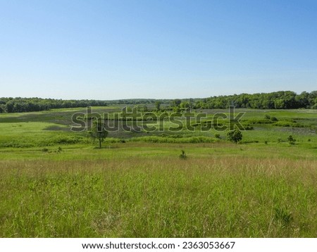Illinois Prairie Habitat With Blue Sky Background Landscape Photography 