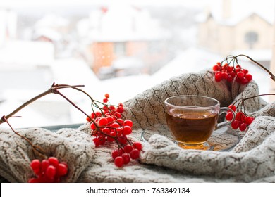 Illness concept: Cup of tea with berries viburnum. Drink with vitamin c