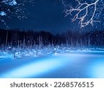 Illuminated Blue Pond or Aoi ike in Biei, Hokkaido, Japan
