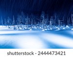 Illuminated blue pond in Biei, Hokkaido, Japan in winter