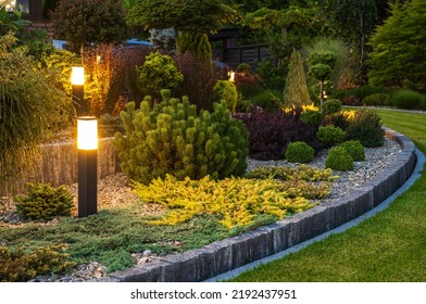 Illuminated By Modern LED Lights Residential Backyard Garden. Landscaping Lighting Technologies.