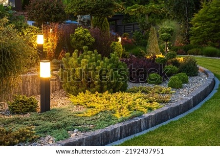 Illuminated by Modern LED Lights Residential Backyard Garden. Landscaping Lighting Technologies.