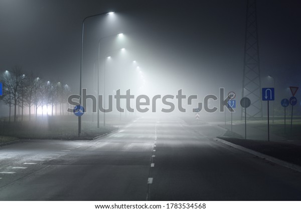 Illuminated empty\
highway in a fog at night. Street lights and road signs close-up.\
Dark urban scene, cityscape. Riga, Latvia. Dangerous driving,\
speed, freedom, concept\
image