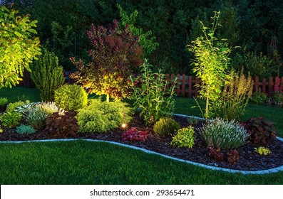 Illuminated Garden by LED Lighting. Backyard Garden at Night Closeup Photo.