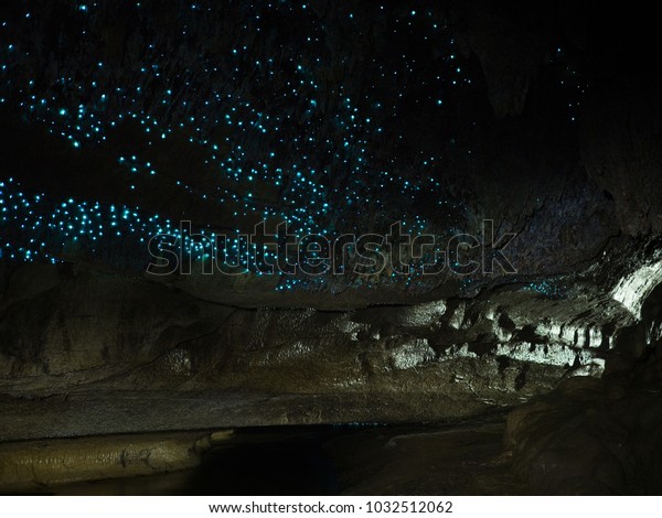 Illuminated Glow Worm Sky in Dark\
Cave, Waipu Caves, North Island, New Zealand, Like Waitomo\
Caves