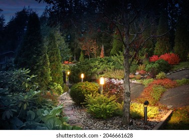 Illuminated Home Garden Path Patio Lights And Plants In Autumn Evening Dusk