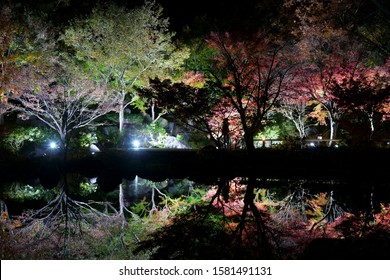 Japanese Garden Night Images Stock Photos Vectors Shutterstock