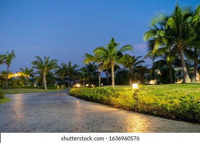 Illuminated Light In Resort Park At Night With Palm Trees On Background