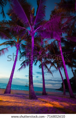 Illuminated palm trees on tropical beach of Thailand