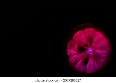 Illuminated Pink Lemon Slice On A Black Background To Include Text.