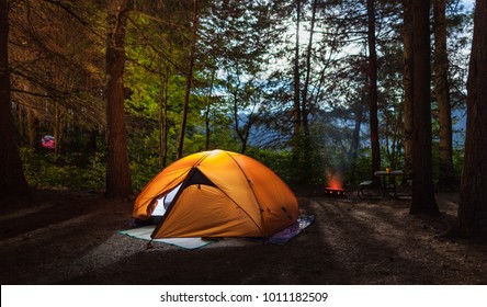 Illuminated Tent On A Camp Site In The Forrest At Night