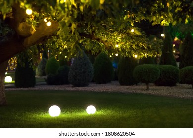 Illumination Backyard Light Garden With Electric Ground Lantern With Round Diffuser Lamp With Garland Of Light Bulbs On Tree Branches, Dark Landscaping Park With Illuminate Night Scene, Nobody.