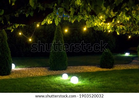 Similar – Image, Stock Photo Evening mood | leaves close up in sunlight