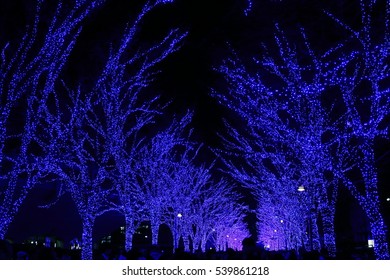 Blue Cave Shibuya High Res Stock Images Shutterstock