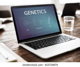 Illustration Of Biology Humanity Life Science Genetic Research On Laptop