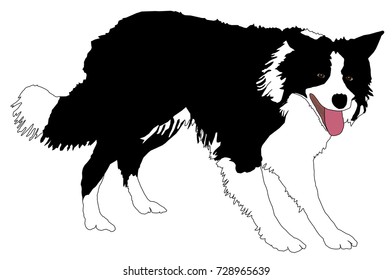 Dog Agility Images, Stock Photos & Vectors | Shutterstock