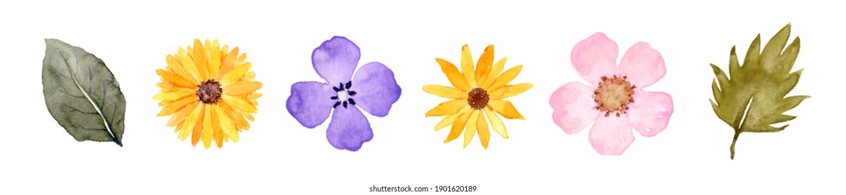 Illustration of flowers and leaves, hand-painted watercolor