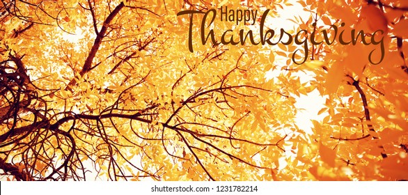 Illustration Of Happy Thanksgiving Day Text Greeting Against  View Of Leaves