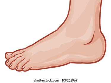 Cartoon Feet Images, Stock Photos & Vectors | Shutterstock