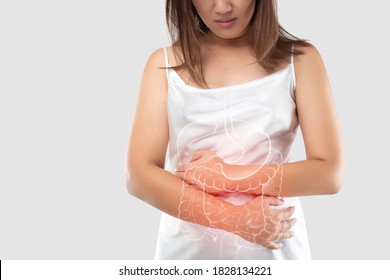 Abbildung des Darms und der inneren Organe im weiblichen Körper auf grauem Hintergrund und auf der linken Seite des Raumes. Das Konzept der medizinischen Behandlung und der Gesundheitsversorgung.