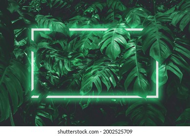 Illustration of a large dark green leaf with soft neon light, a rectangular green water led frame light For natural backgrounds - Powered by Shutterstock