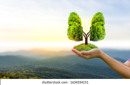 Illustration Of Lung Tree (Environment And Medicine)