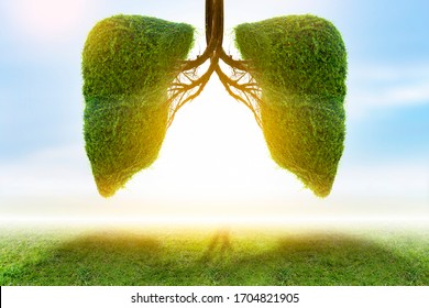 Illustration Of Lung Tree (Environment And Medicine)