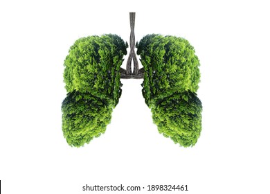 Illustration Of Lung Tree (Environment And Medicine)