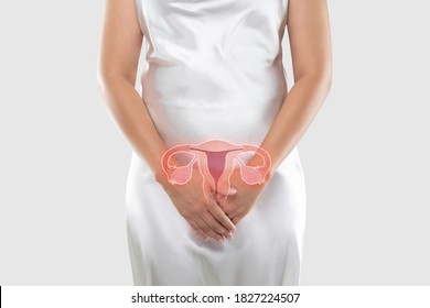 Illustration des Uterus ist auf dem Körper der Frau, Auf grauem Hintergrund Das Konzept der weiblichen Anatomie