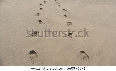 FuÃ?spuren im Sand - Traces in the sand