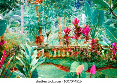 A fantázia trópusi kert szürreális színei csodálatos növényekkel és virágokkal