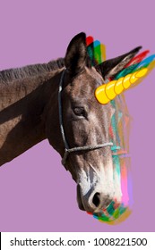 schöne magische Einhornfarbe braun mit einem hellen Illustrationshorn und einem hellpurpurnen rosa Hintergrund