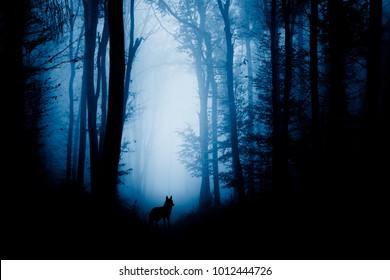 wolfssilhouet in donker fantasiebos