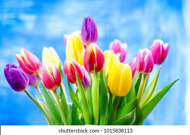 Colorful tulip flowers on a blue background with a copy space for a text. Top of view. Blue sky background. Valentines gift and celebration concept.