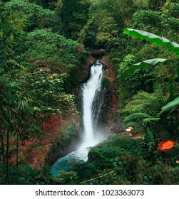 熱帯雨林バリ インドネシア内の Git Git 滝。